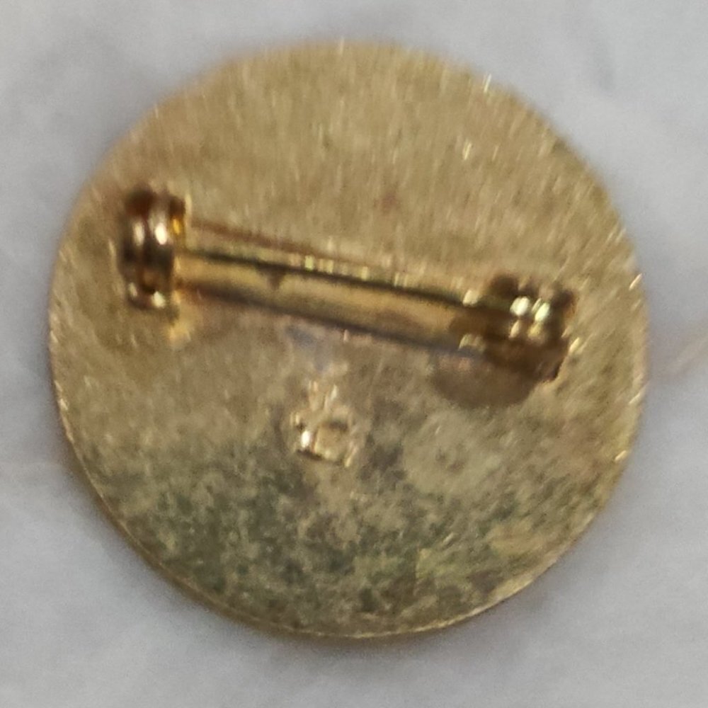Girl Scouts Blue Circular World Badge Pin - Picture 3 of 3